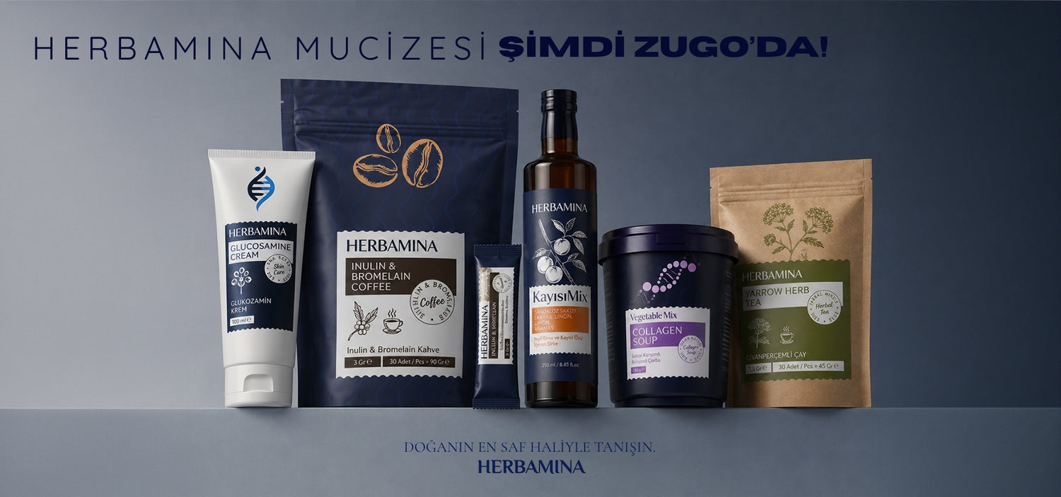 Zugo Shop