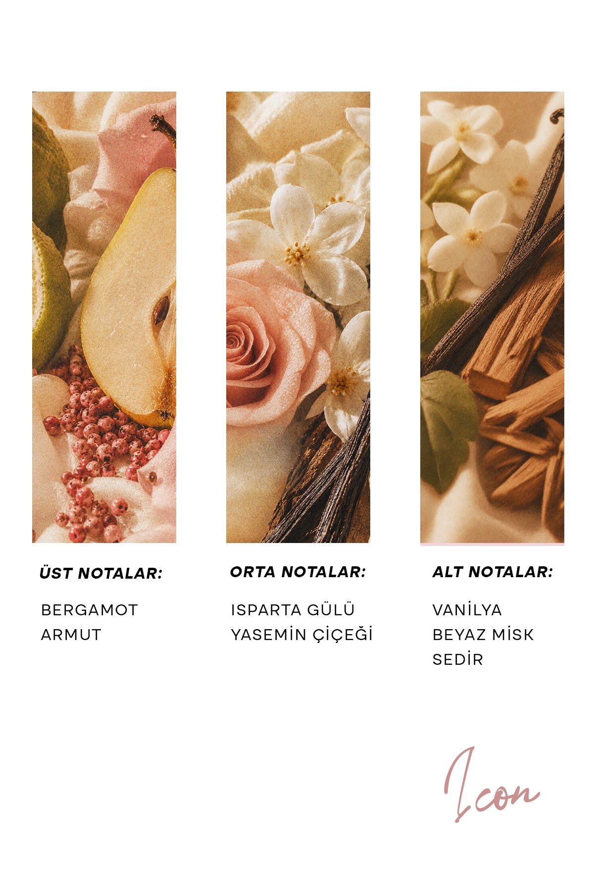 H.OLA Extrait de Parfum 100 ml